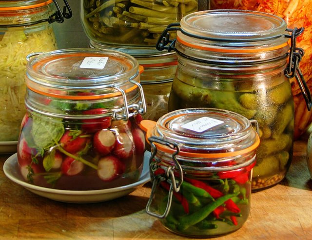 lactofermentation, santé, mircobiote