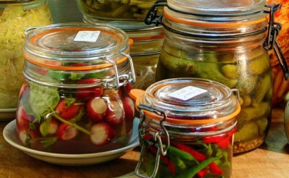 lactofermentation, santé, mircobiote